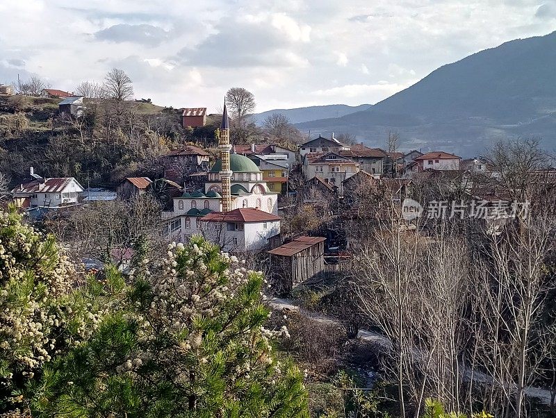 在sakarya turkey有清真寺的小山村